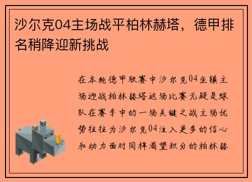 沙尔克04主场战平柏林赫塔，德甲排名稍降迎新挑战